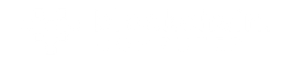 Blockchain Computer